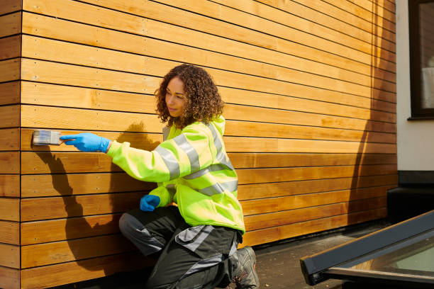 Best Steel Siding Installation  in Merritt Island, FL
